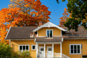house paint in yelllow during fall season