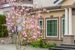 house in spring season